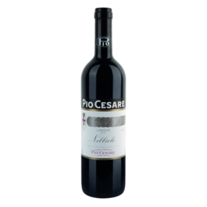 Nebbiolo Langhe doc 'Pio Cesare'